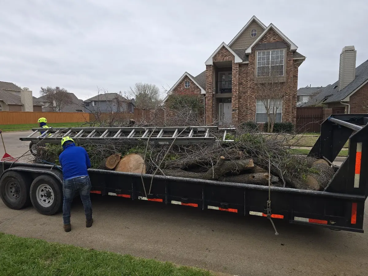 Expert Tree Fertilization with proper safety equipment in Custer